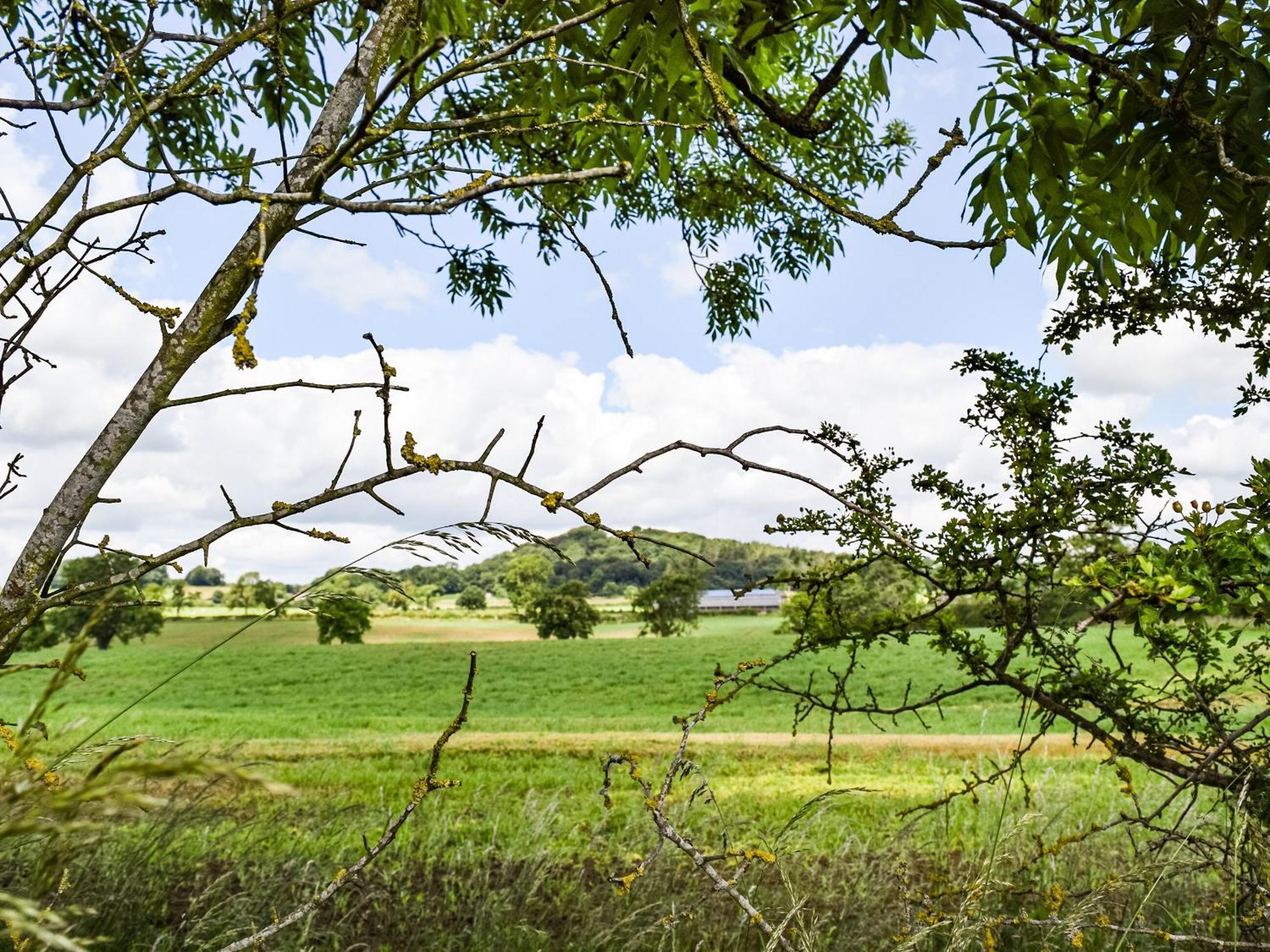 Pheasant Lodge - Uk33402 Hungerton Εξωτερικό φωτογραφία